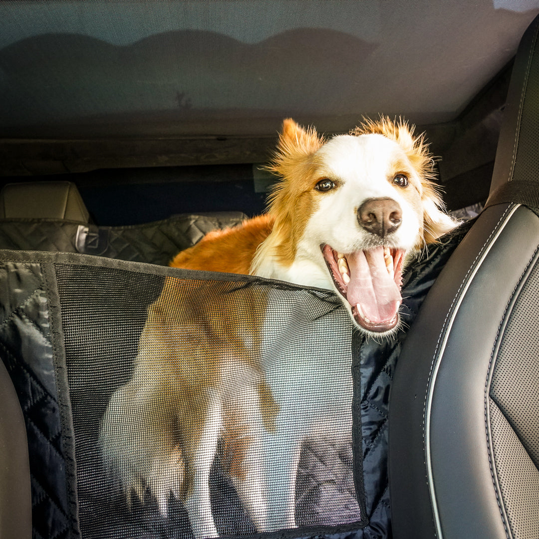 Cybertruck Pet Cover for Dogs - Cybertruck Pet Liner